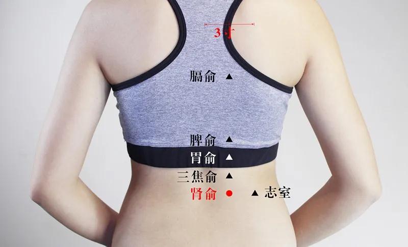 三九灸补个透,来年虚病少!现在开始“筑基”灸,三九效果翻一番(图11)